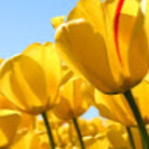 Meet your Posher, Denisse